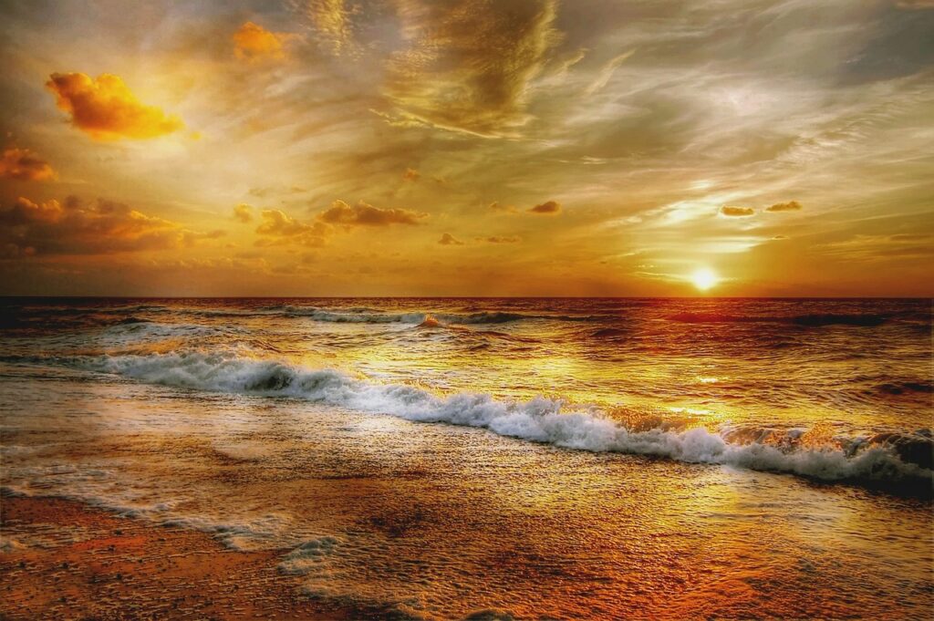 henne strand, sun, denmark