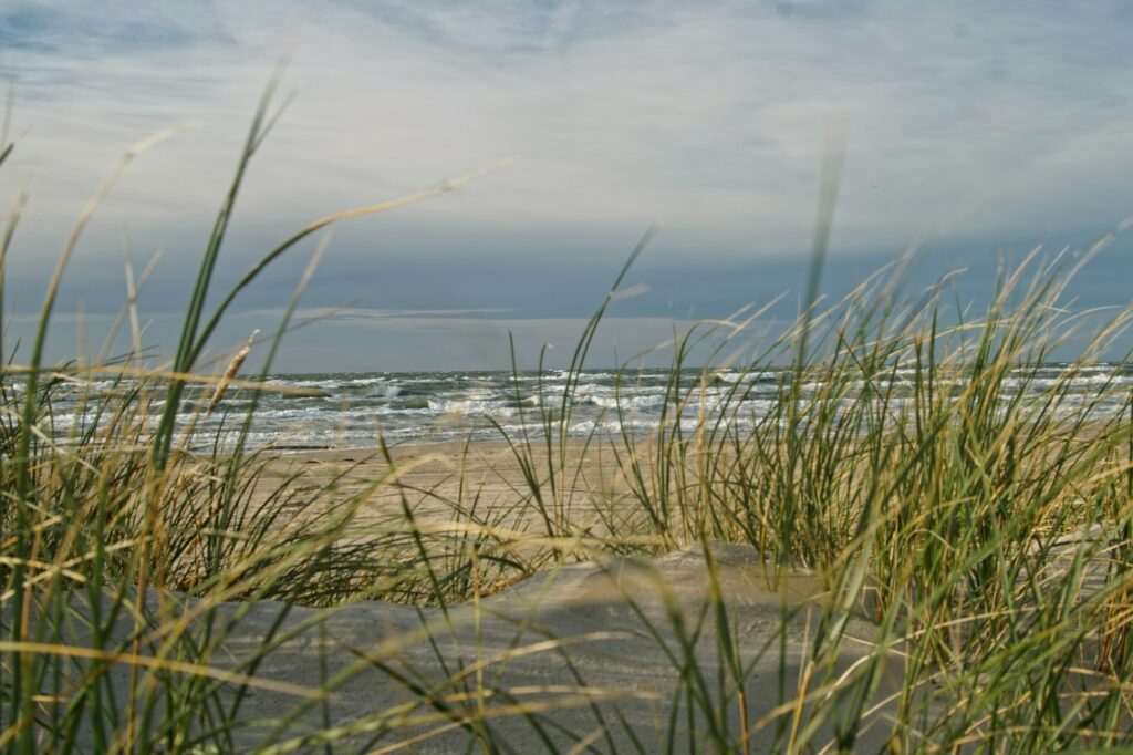 a view of the ocean from the sand dunes